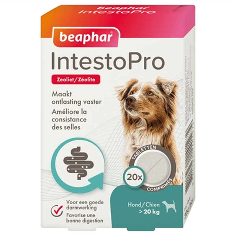 Beaphar IntestoPro pour chiens de plus de 20 kg - 20 comprimés