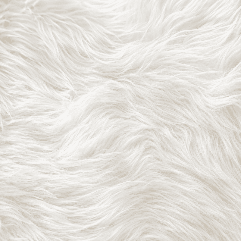 Tapis de Couloir en Peau de Mouton Imitation Laine, 60x150 cm Tapis d'Appoint en Peluche Douce, Tapis de Salon de Courtoisie en Shag Blanc avec