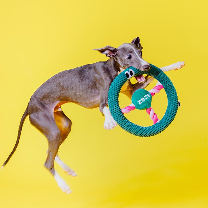 ZEZE Jouet à mâcher avec effets sonores en forme de volant vert foncé pour chiens - 23 x 23 x 3,5 cm