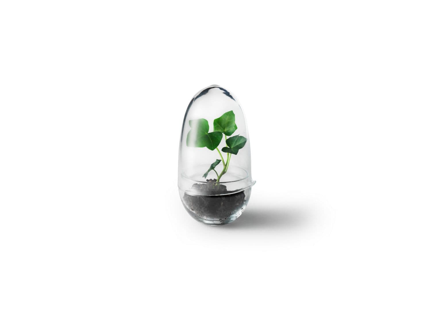 Design House Stockholm Mini-serre Grow - S