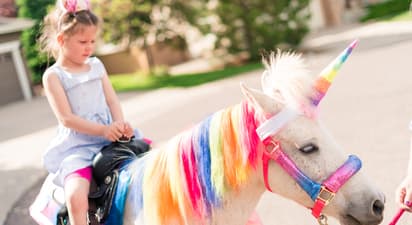 Anniversaire dans un centre équestre et balade à poney près de Meaux