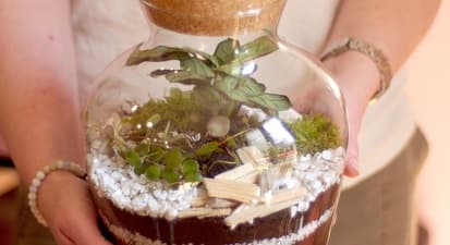 Atelier création de terrarium à Paris 19ème