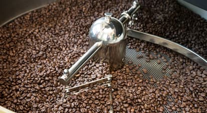 Atelier découverte du café et de la torréfaction à Bordeaux