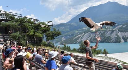 Visite du Parc Animalier de Serre-Ponçon à Le Sauze-du-Lac