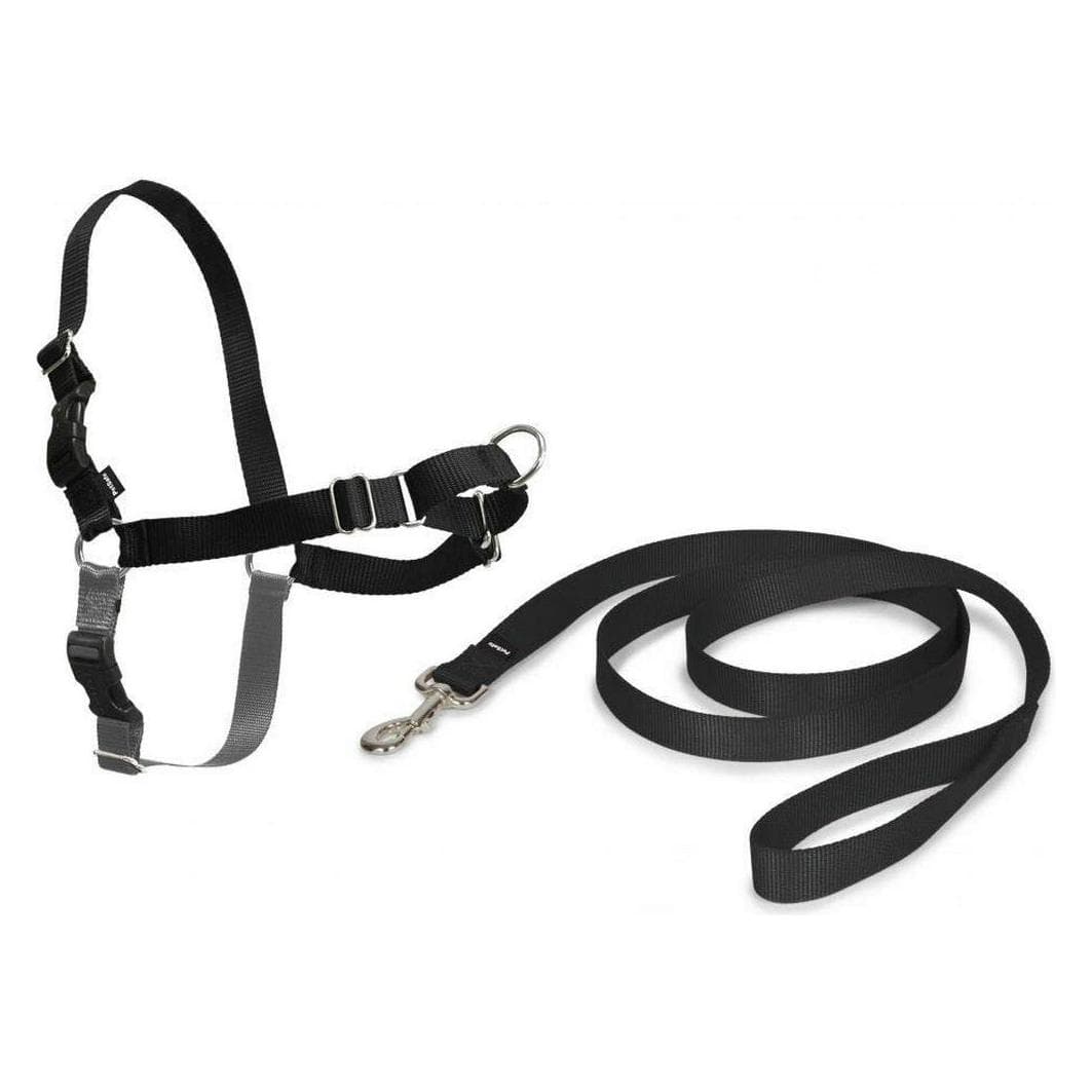 PetSafe Easy Walk (M, Chien, Promenade), Collier + laisse