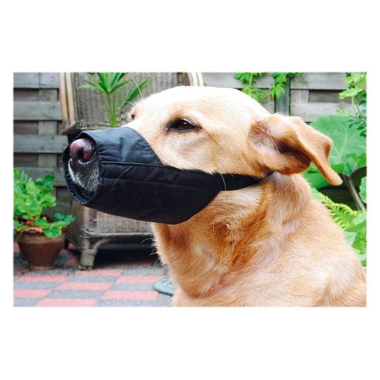 Beeztees BZ MUSELIÈRE NOIR L 18.5 (L, Chien), Collier + laisse