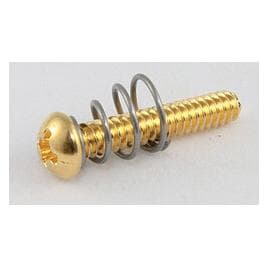 AllParts AP GS 0007-002 PU Vis/ressorts or, Instrument : accessoires, Or