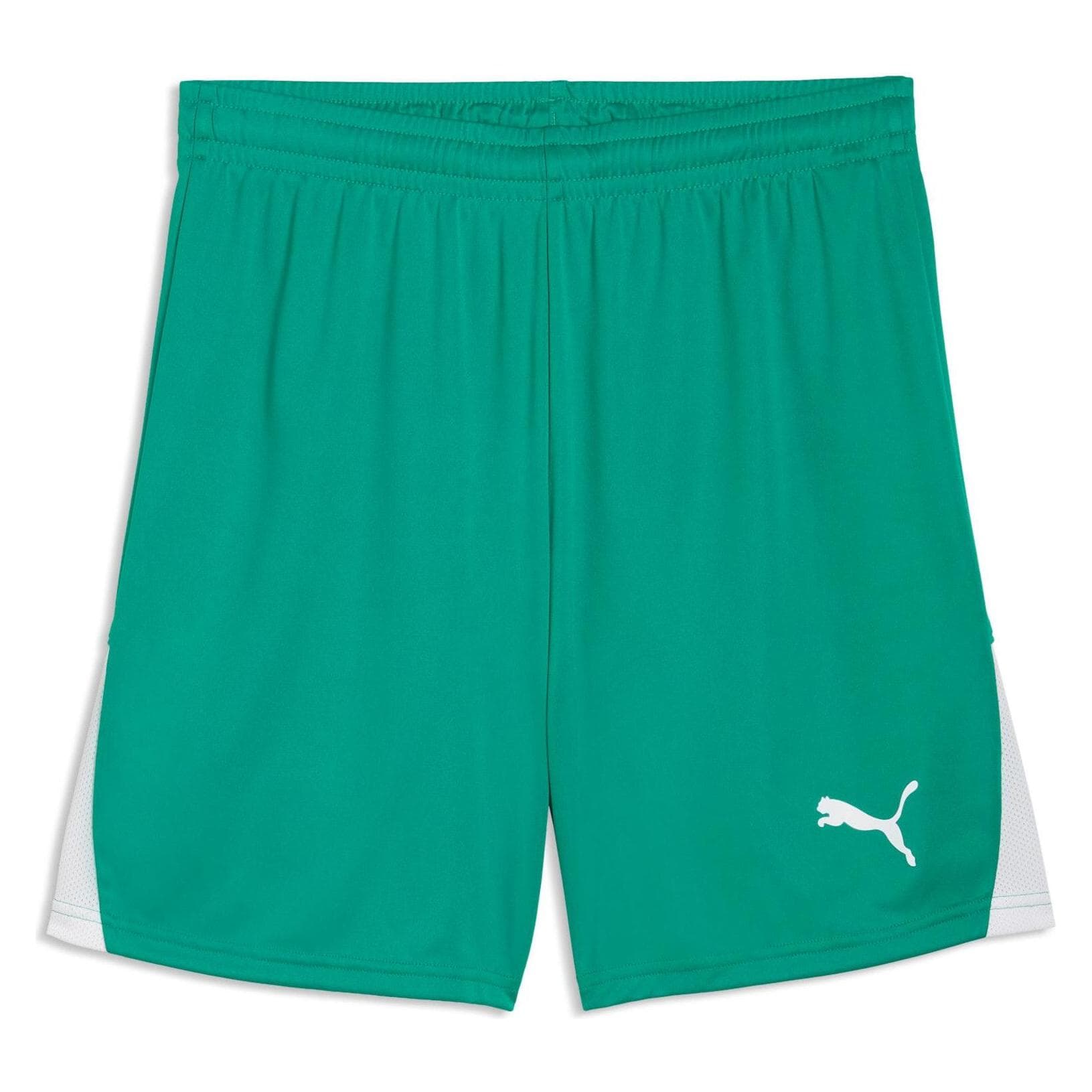 Puma, Hommes, Bas de sport, teamLIGA26 Shorts (XL), Vert