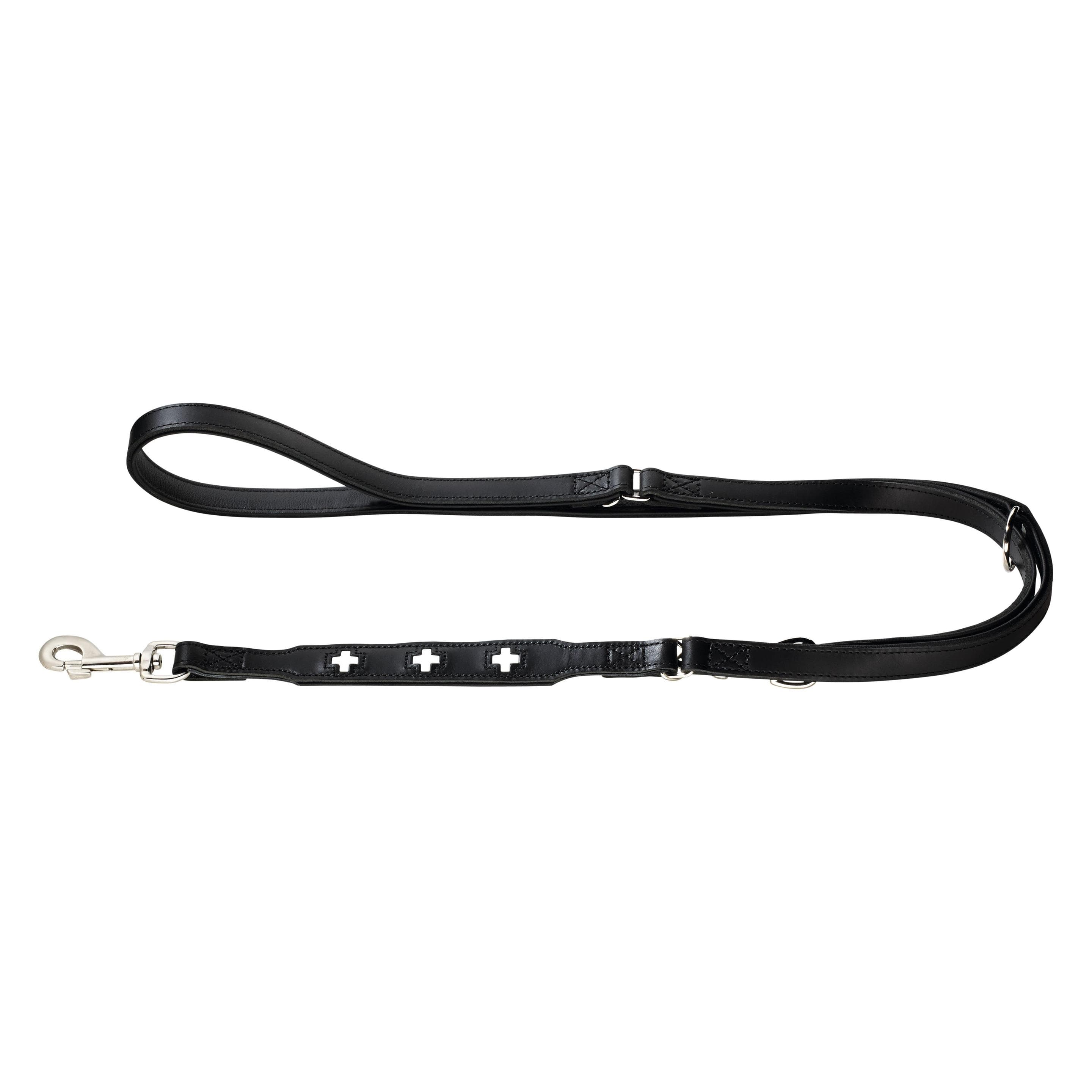 Hunter Longe de présentation réglable Swiss en cuir véritable (Chien, Général, Promenade), Collier + laisse
