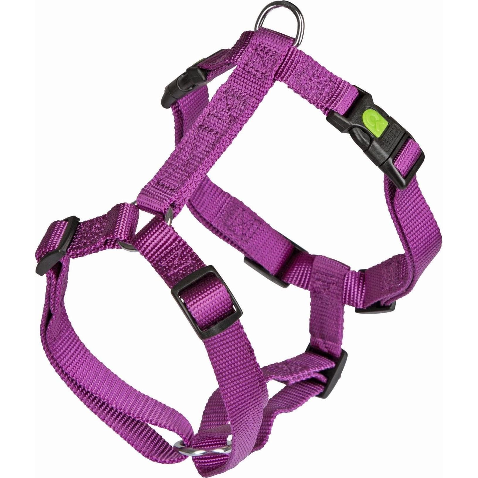 Kerbl Vaisselle Miami (40, 41, 42, 43, 44, 45, 46, 47, 48, 49, 50, 52, 54, 56, Chien, Sport canin), Collier + laisse