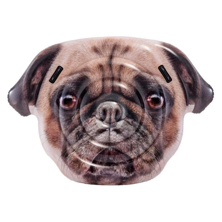Intex Face de carlin