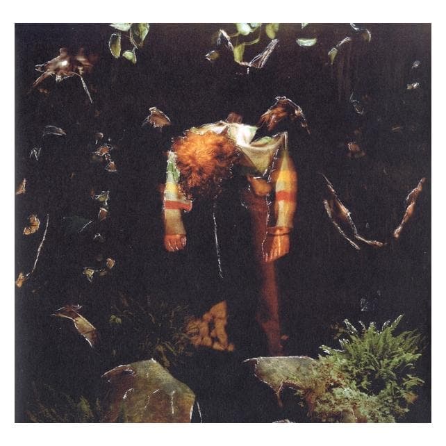 Various Publishers, Disque vinyle, Aliments Worm (Cavetown)