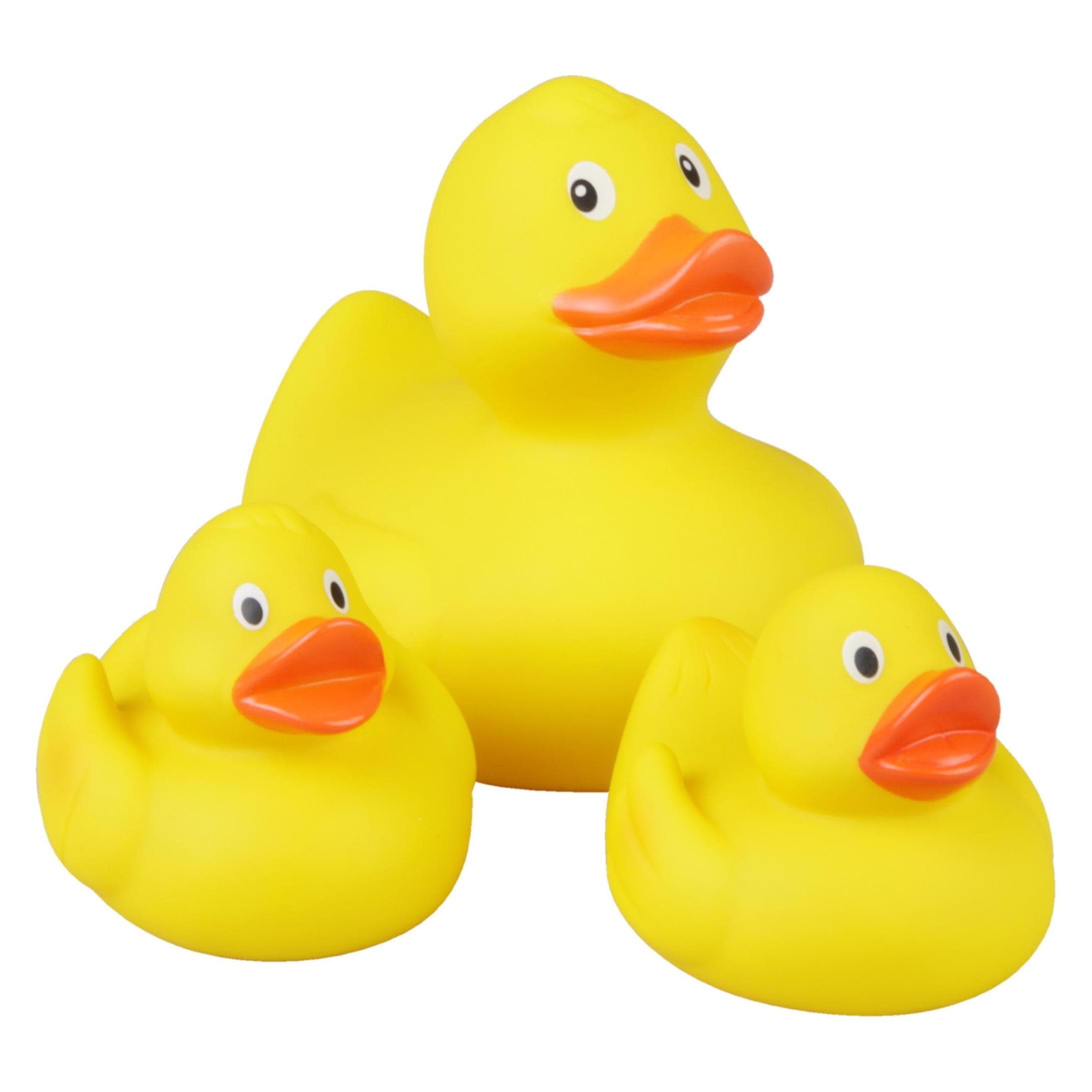 Lena Duck family