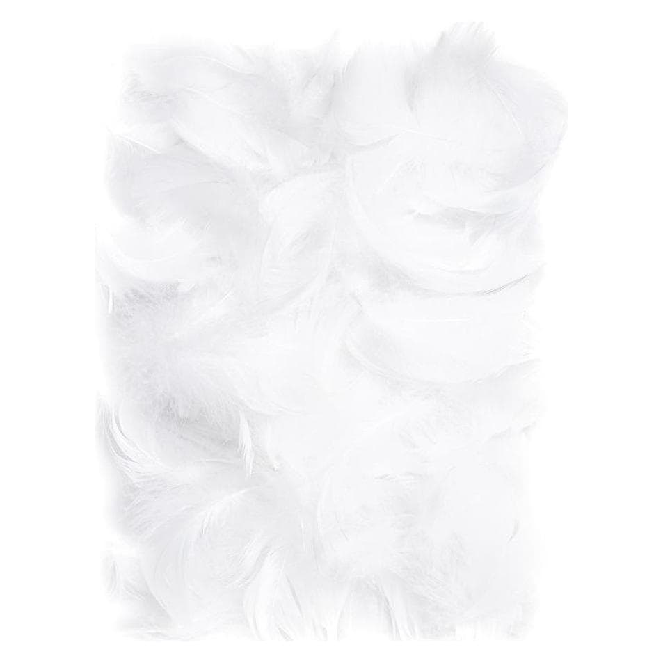 Dalprint Federn 5-12cm 10g weiss