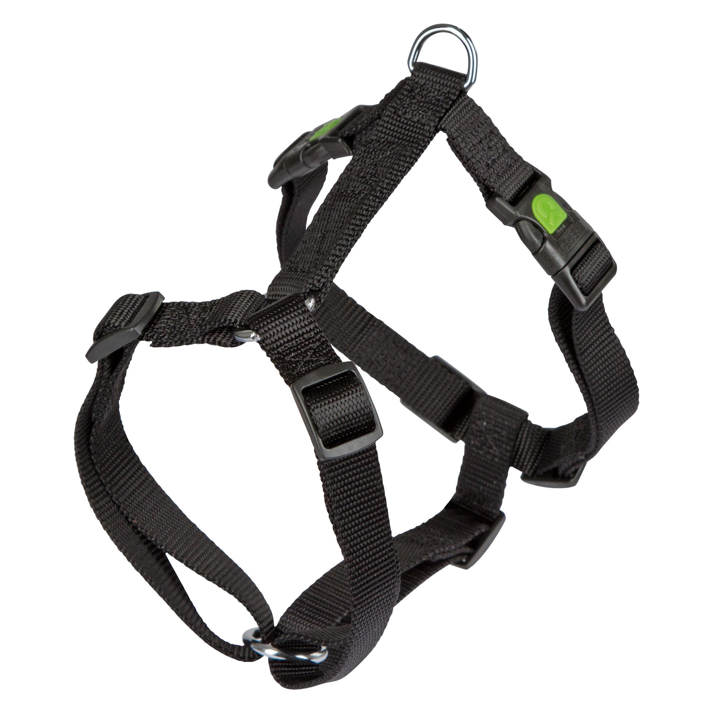 Kerbl Plats Miami (Chien), Collier + laisse