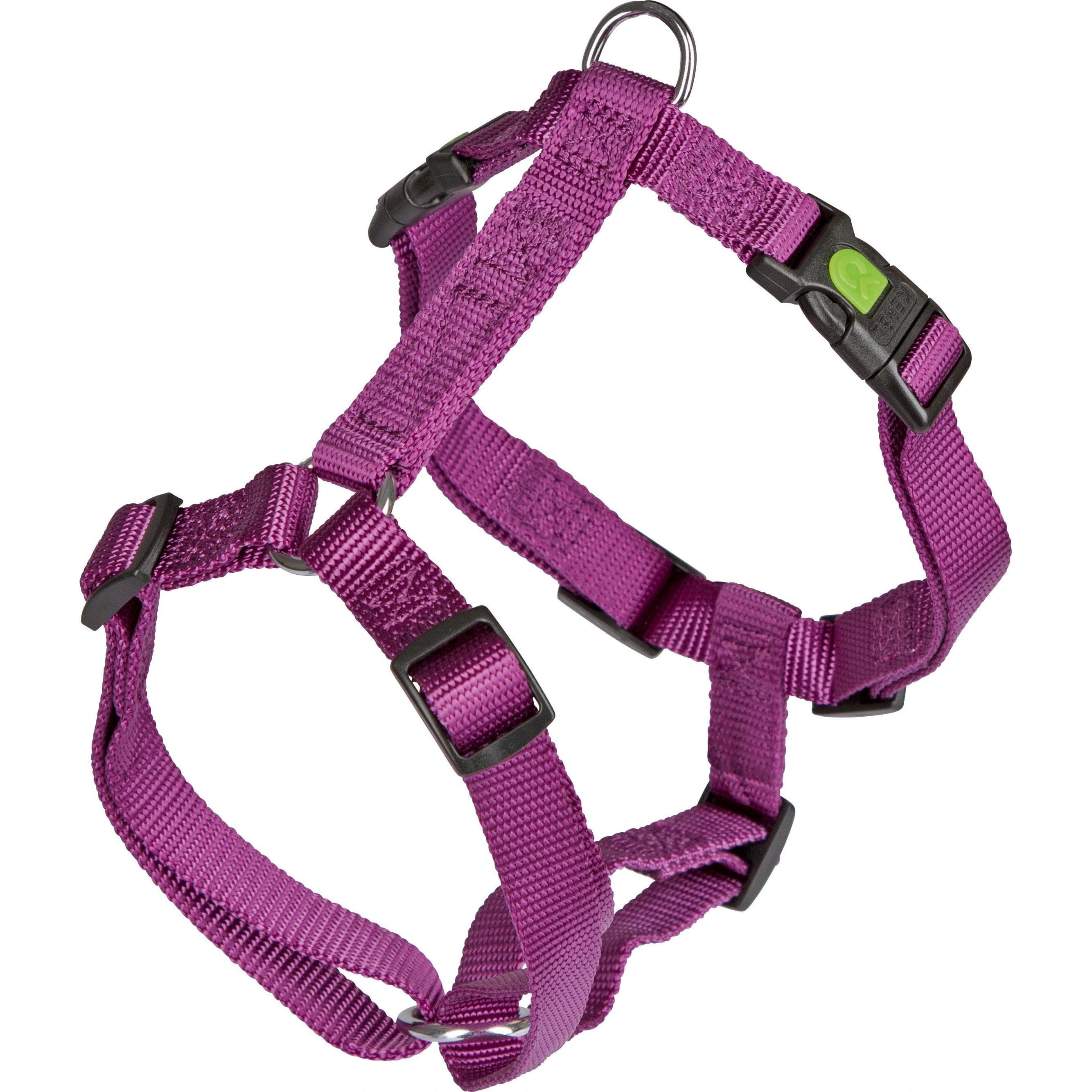 Kerbl Vaisselle Miami (Chien, Sport canin), Collier + laisse
