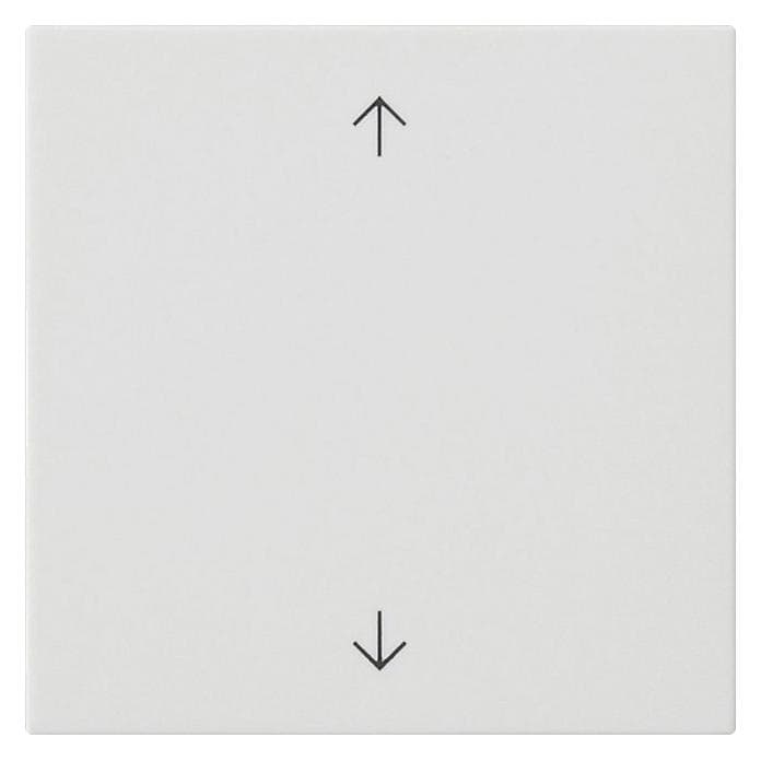 Gira, Accessoires Gamme d'interrupteurs, Bascule 1f flèches Système 55 blanc pur m 538927