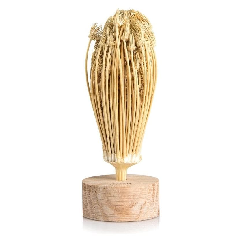 RIVSALT, Vaisselle de pique-nique, Toothpick