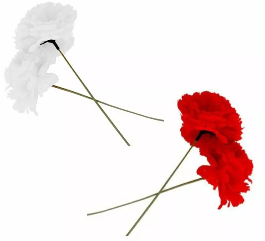 Œillet Sevillana ou Chulapa 8 cm avec tige de 18 cm en différentes couleurs